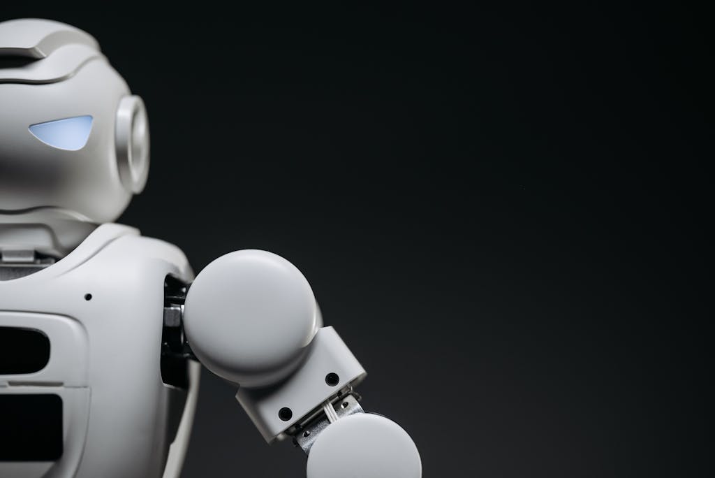 Robot